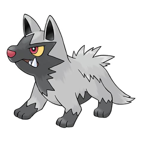 poochyena serebii.